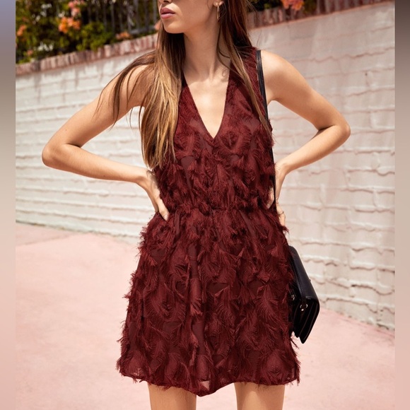 & Other Stories V Neck Textured Sleeveless Dress with Elastic Waist in Burgundy - Picture 5 of 5